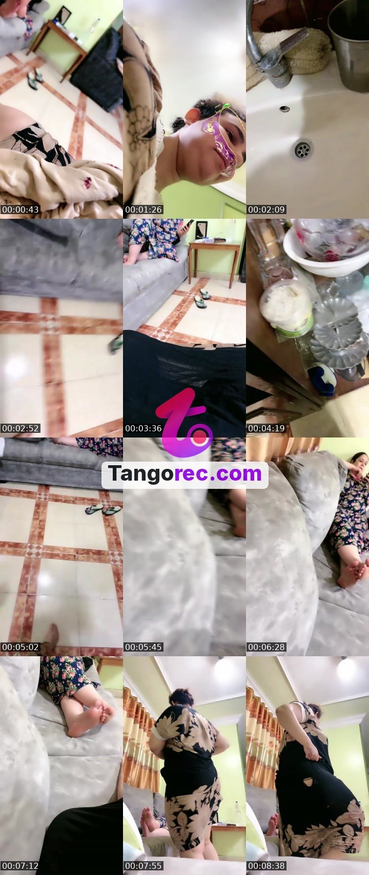 @rapidcat-100152 Tango live from 2026-09-12