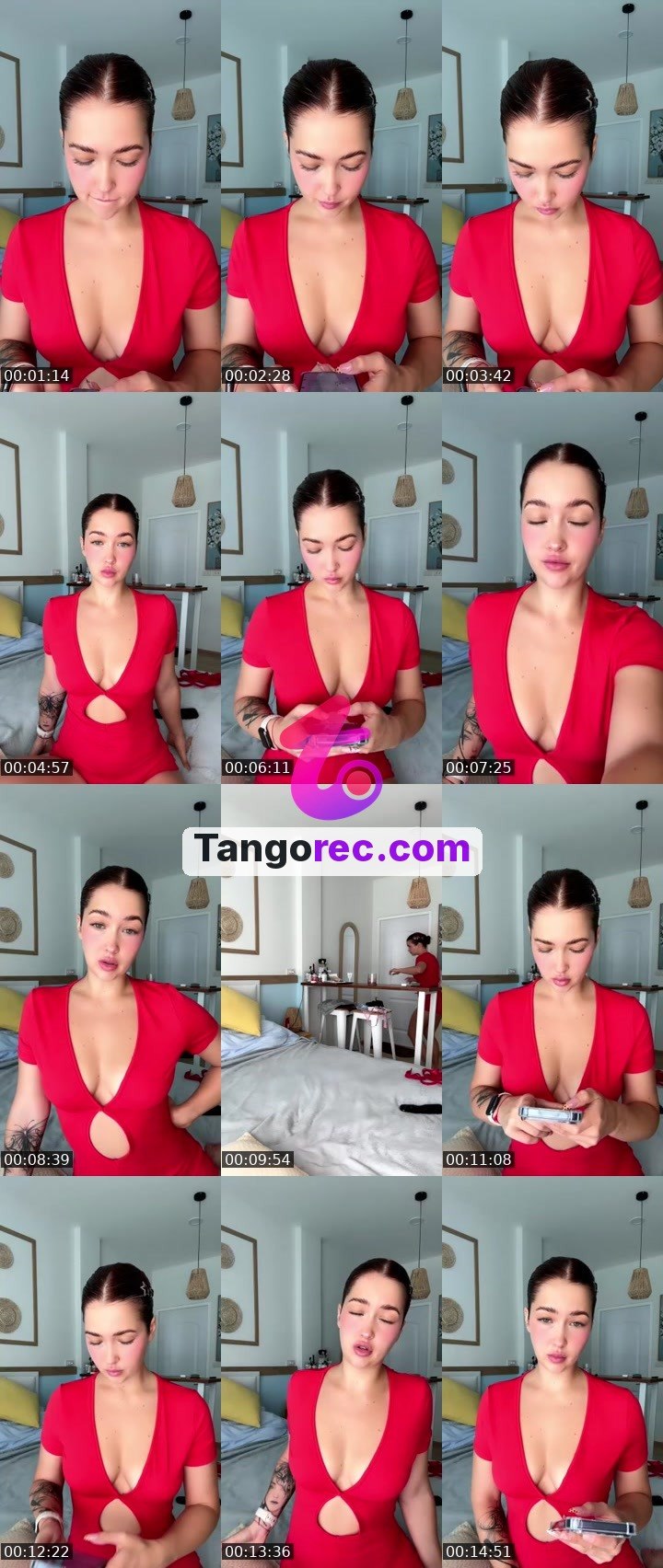 @meo_meo0 Tango live from 2026-09-13