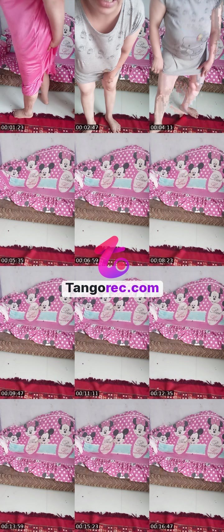 @steel-stallion-238056 Tango live from 2026-09-13