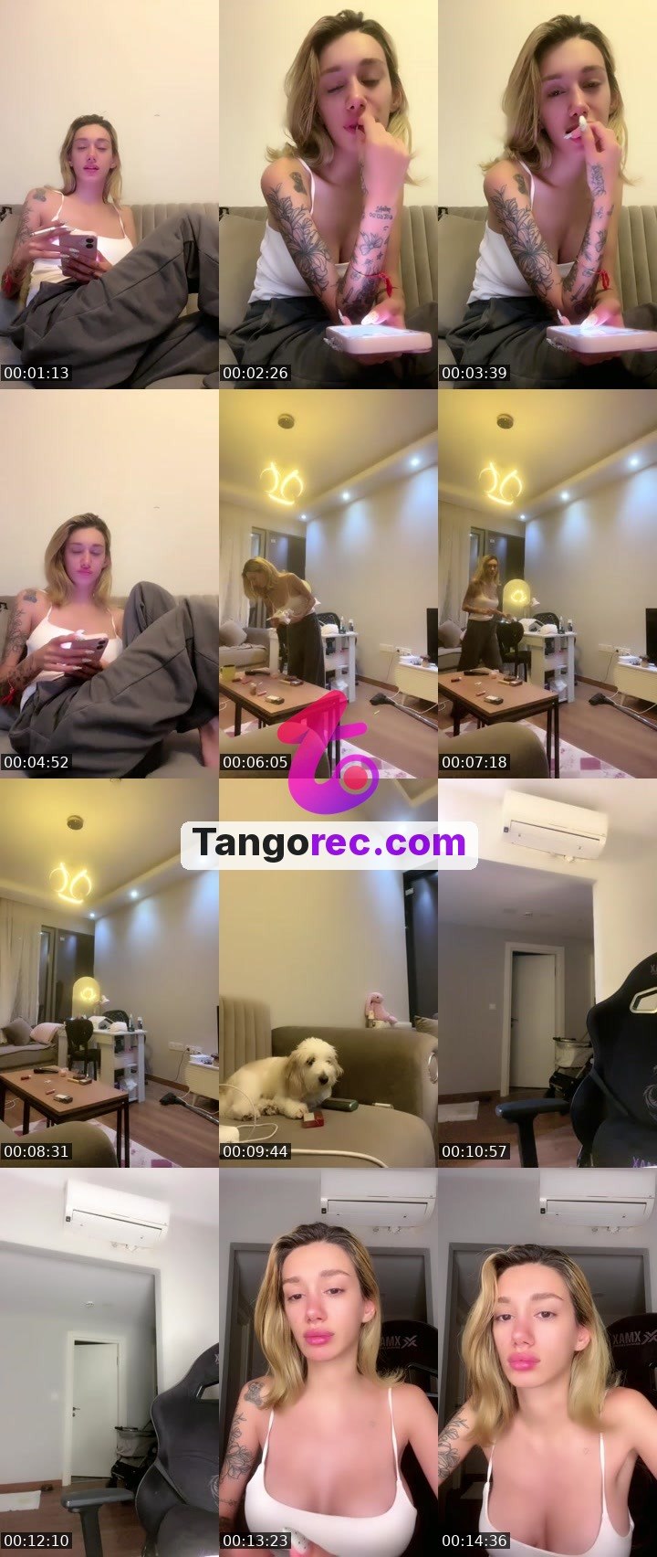 @iremmss5 Tango live from 2026-09-13