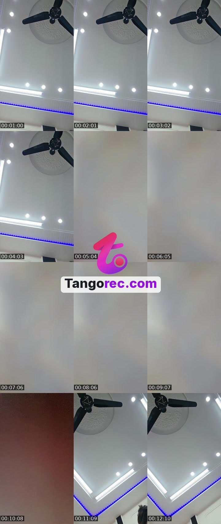@micky78 Tango live from 2026-09-13
