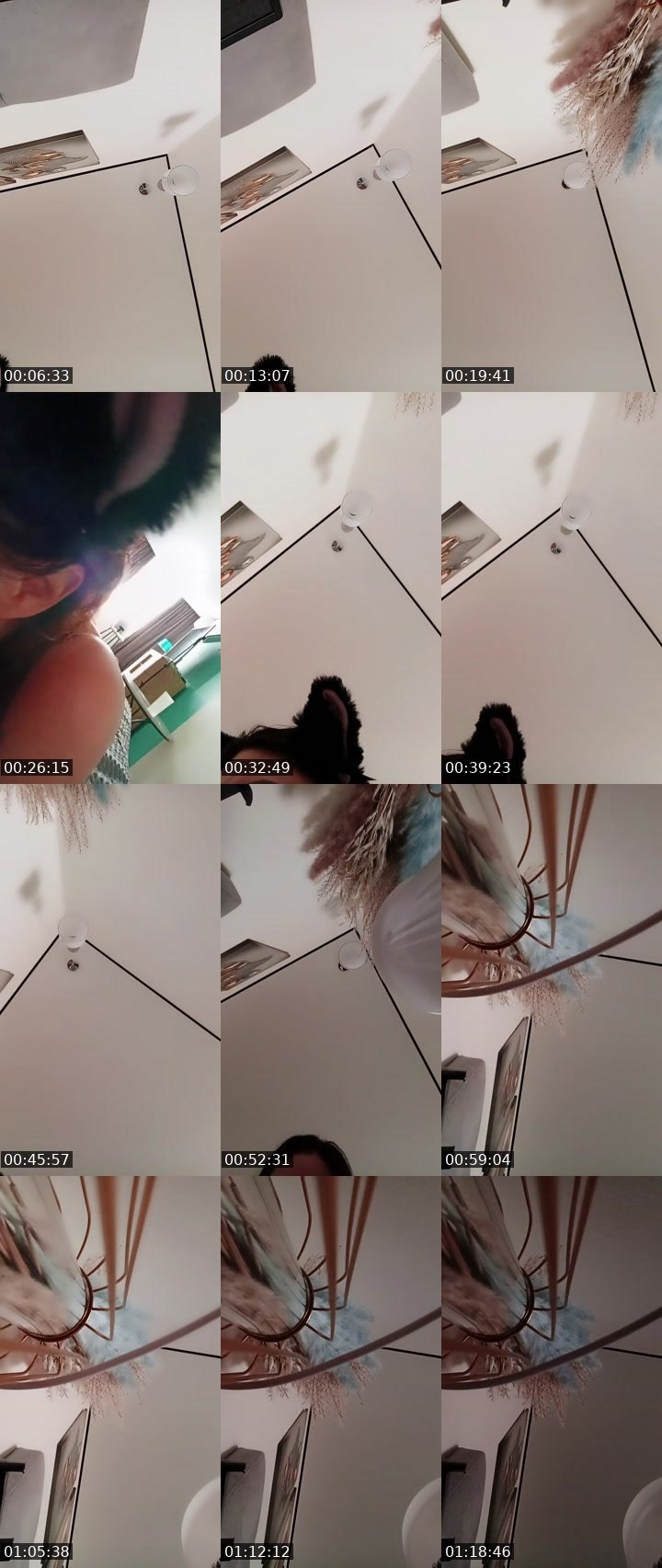 @niki897 Tango live from 2026-07-24