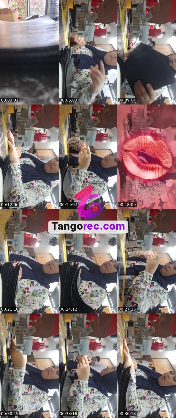@action-hippo-191014 Tango live from 2026-09-14