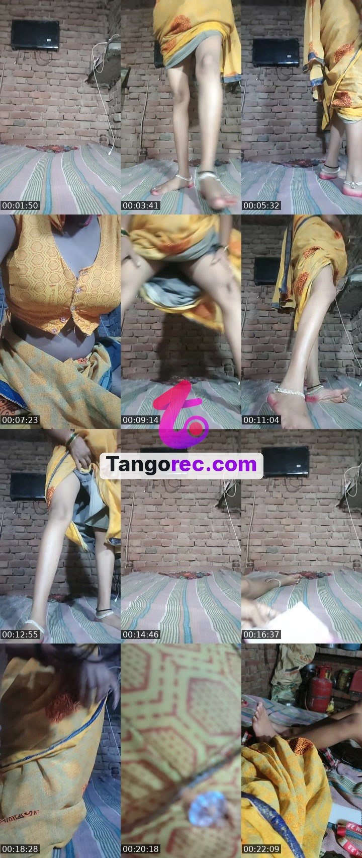 @action-hippo-303474 Tango live from 2026-09-14