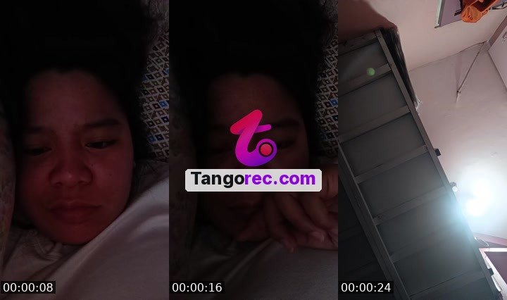 @pillowsea Tango live from 2026-09-14