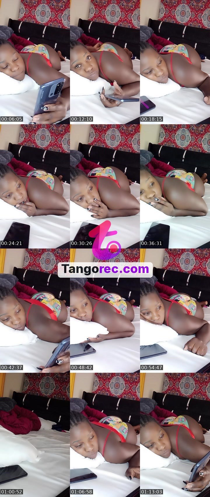 @pleasantpenguin-51426 Tango live from 2026-09-14