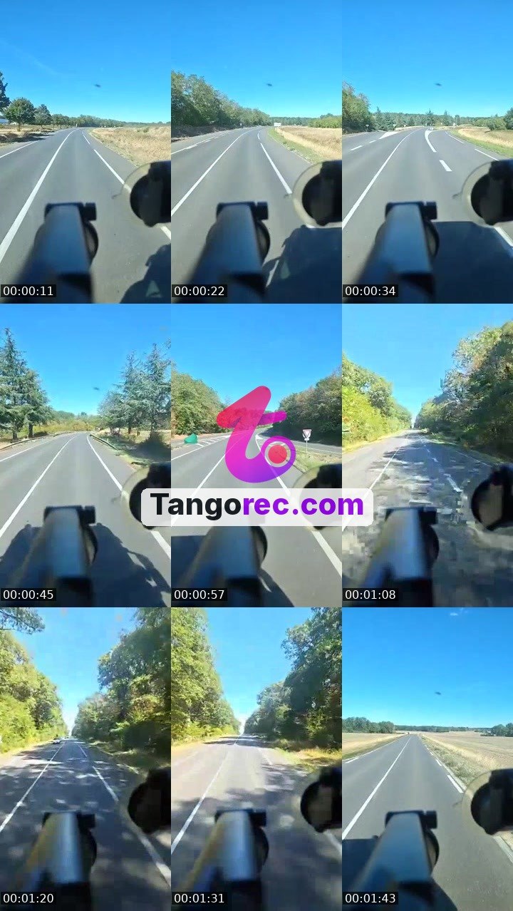 @businessbull-540545 Tango live from 2026-09-14