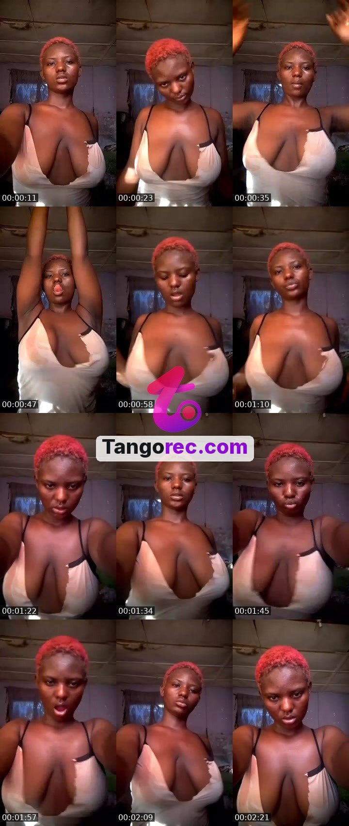 @cutebitch17 Tango live from 2026-09-14