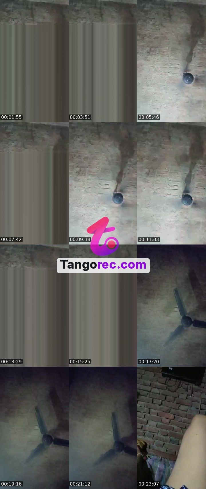 @action-hippo-303474 Tango live from 2026-09-14