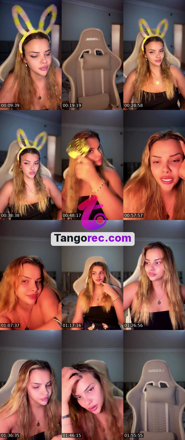 @misterbadger-43827 Tango live from 2026-09-14