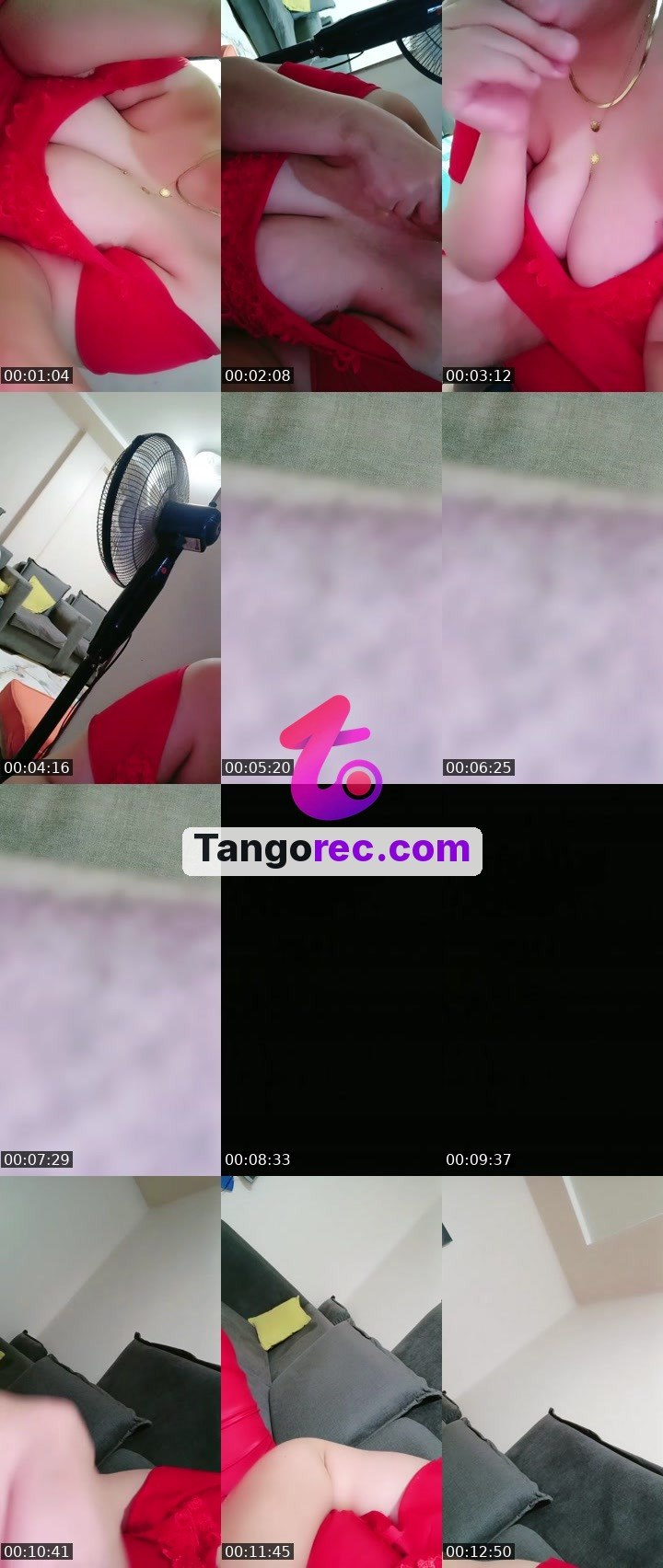 @fly-cobra-629083 Tango live from 2026-09-14
