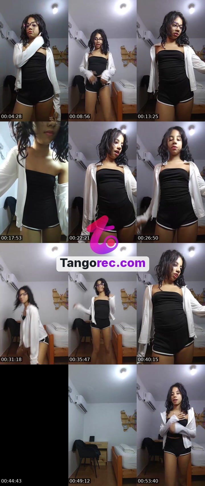 @dolphin6 Tango live from 2026-09-14
