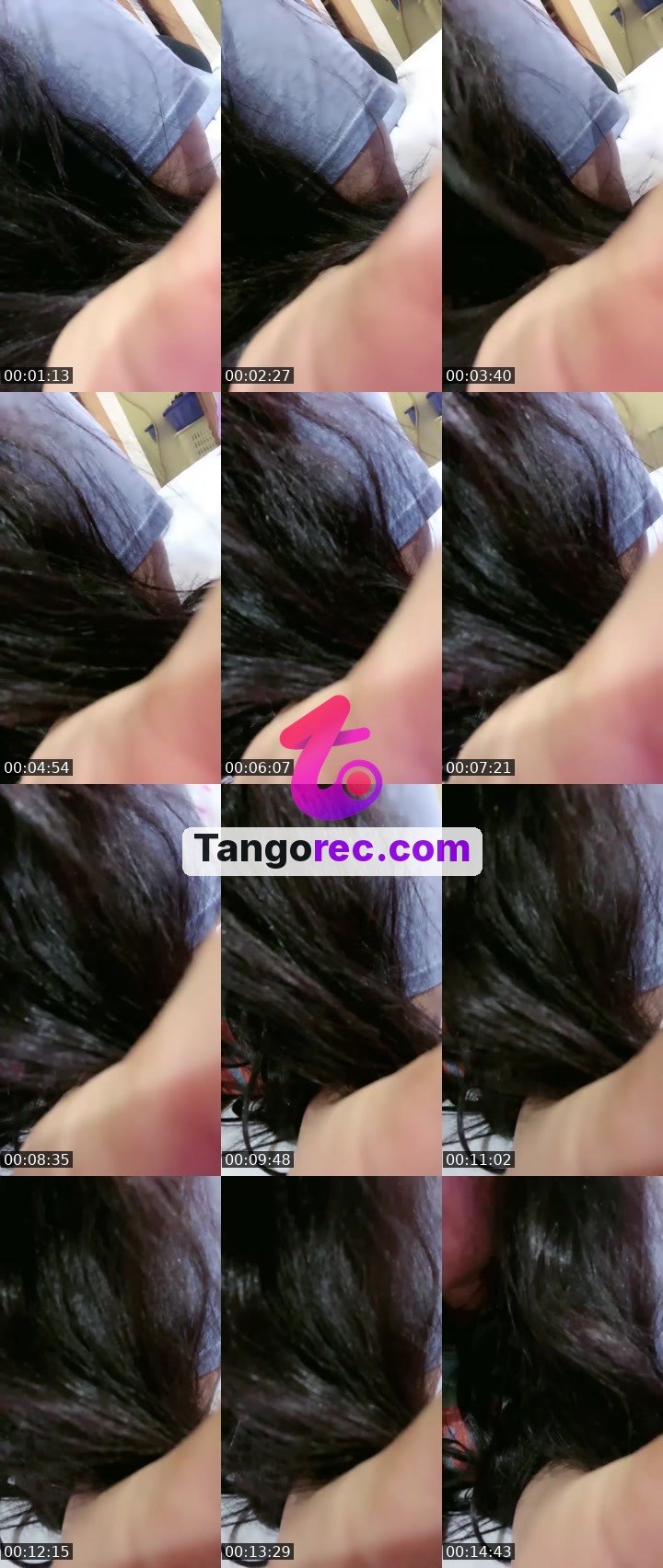@byyyyyye02 Tango live from 2026-09-15