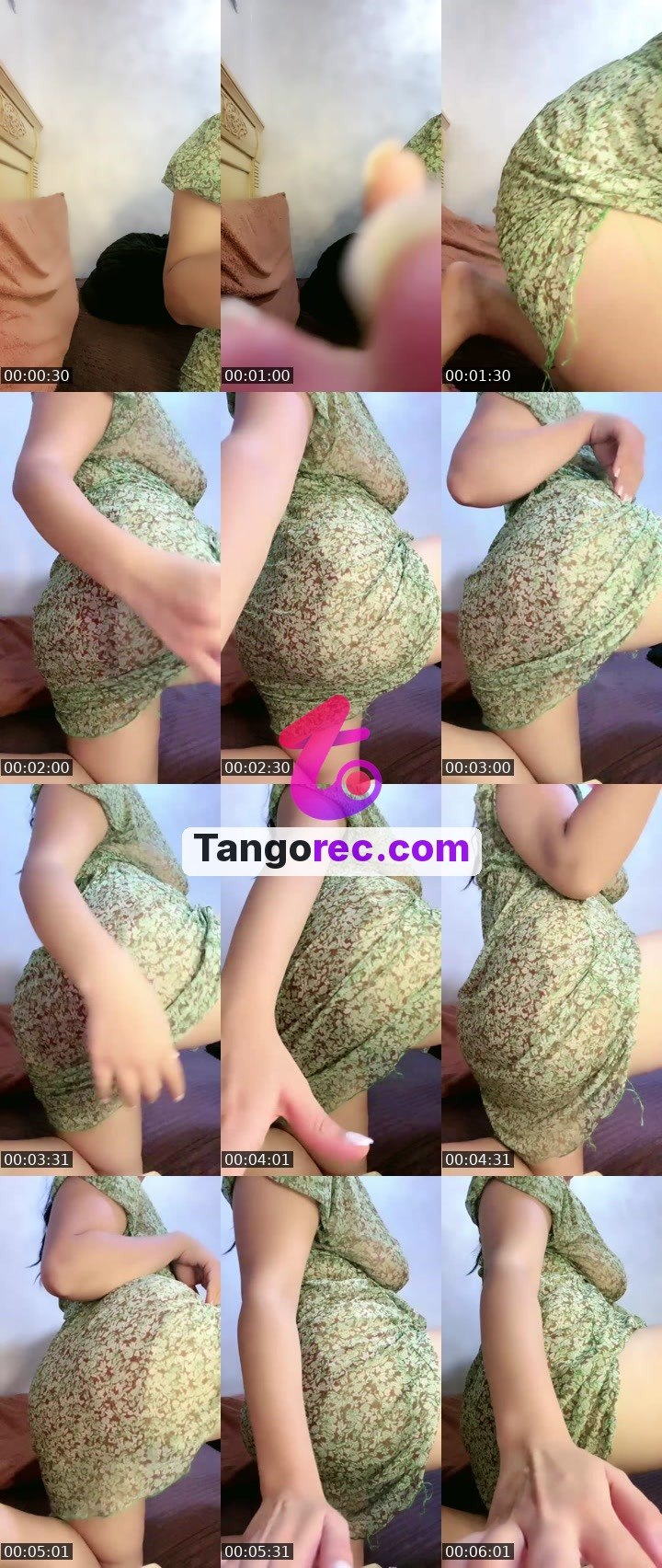 @lynunk20 Tango live from 2026-09-15