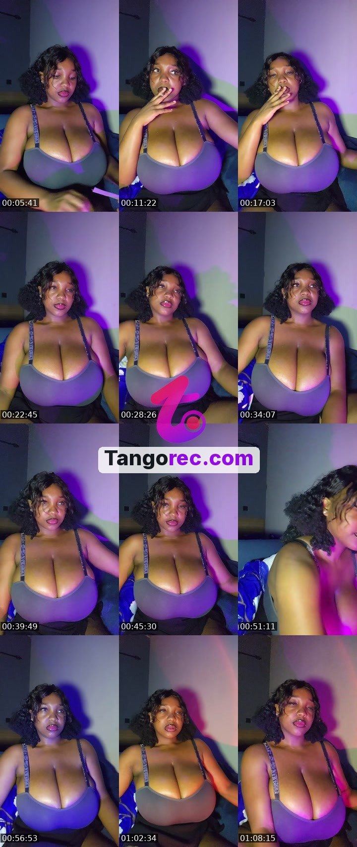 @bamboo33 Tango live from 2026-09-15