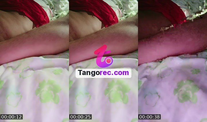 @fly-cobra-629083 Tango live from 2026-09-15