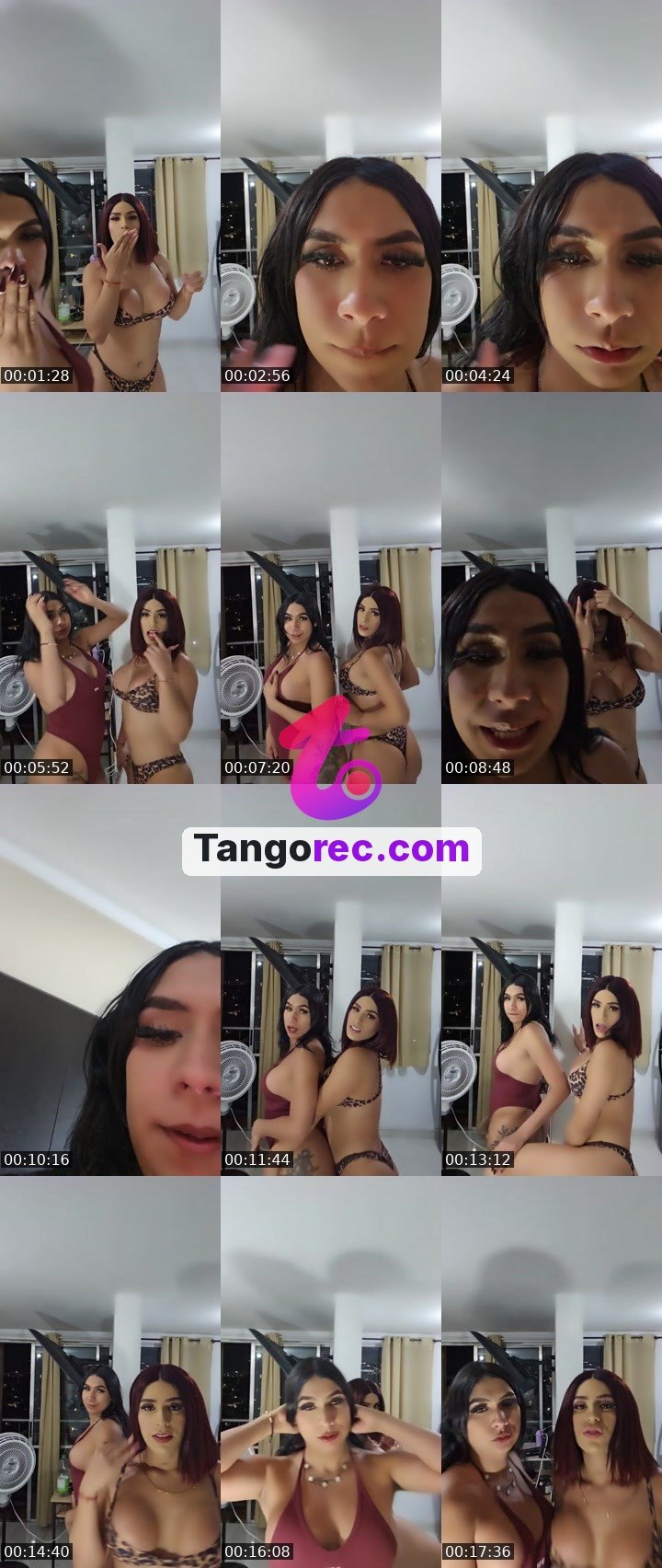 @samsanchtrans Tango live from 2026-09-15