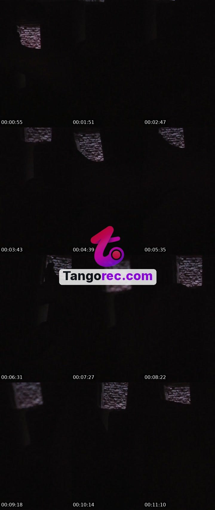 @chill-wolf-239506 Tango live from 2026-09-15