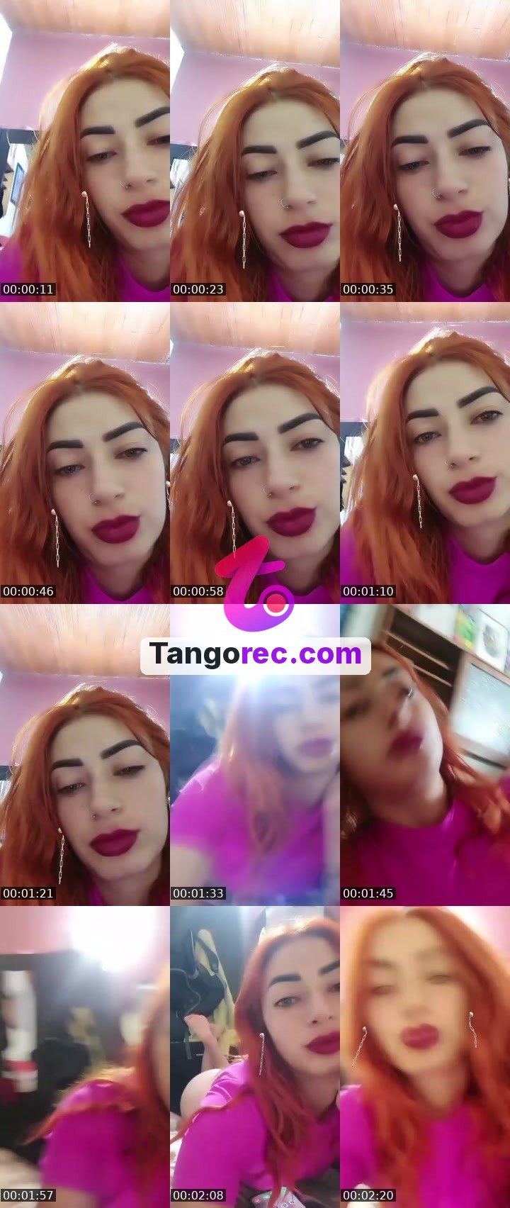 @vole41 Tango LIVE