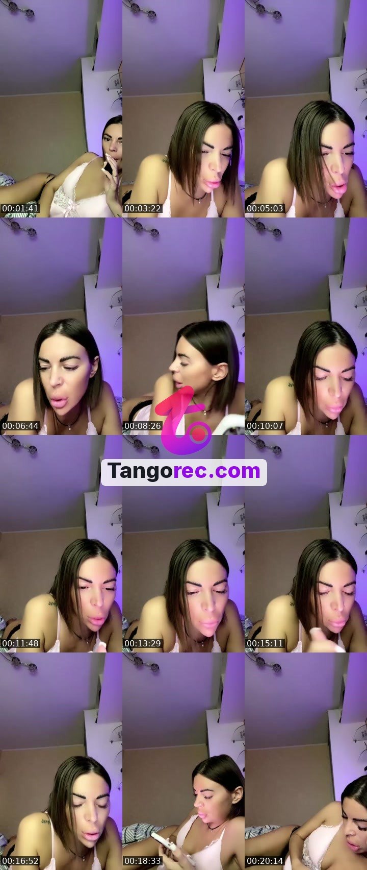 @pleasantmoose-49430 Tango live from 2026-09-15