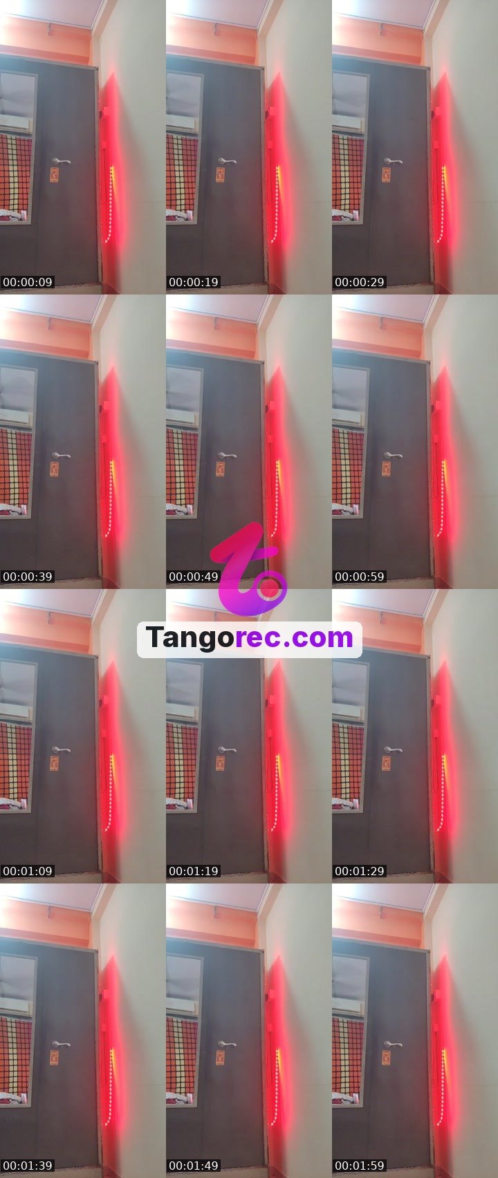 @catt11133334 Tango live from 2026-09-15