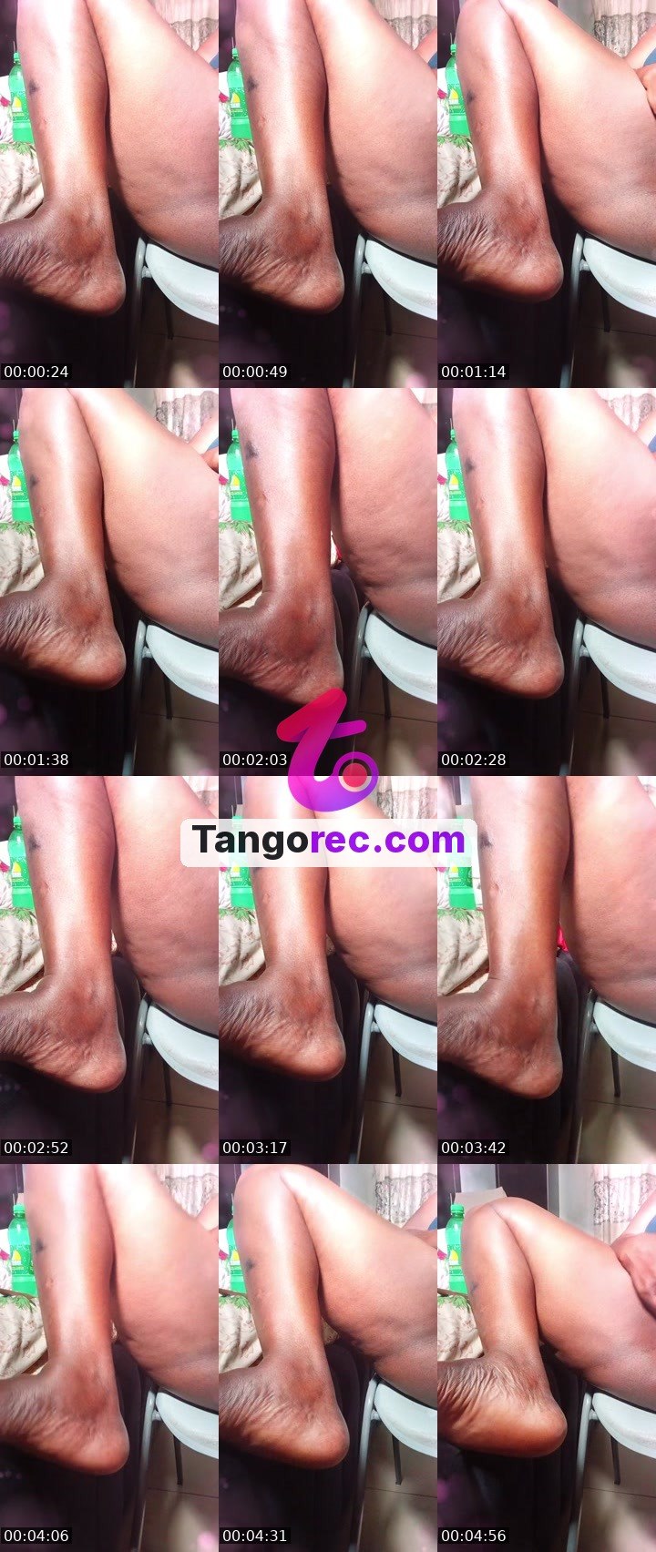 @trendykoala-54750 Tango live from 2026-09-15