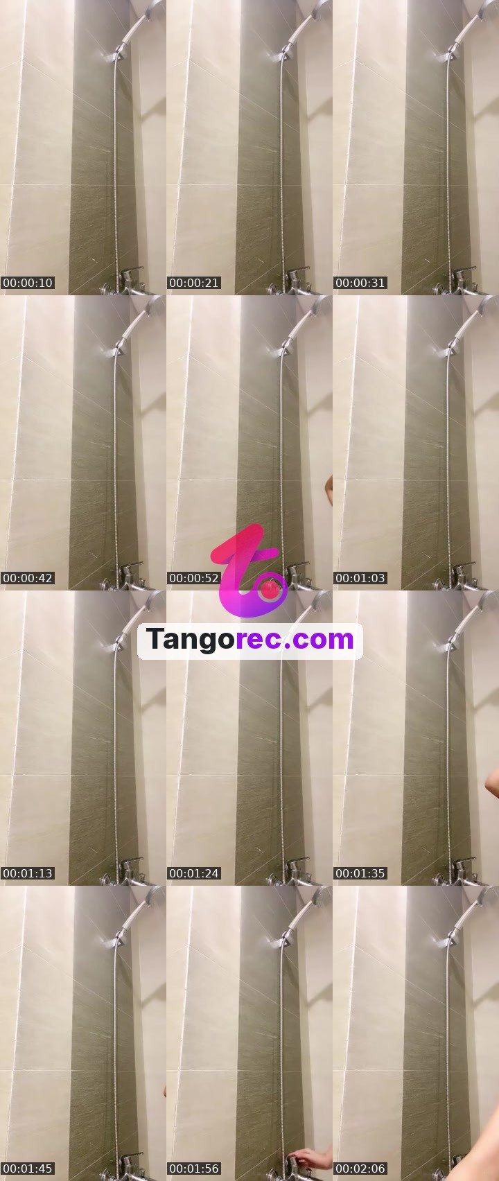 @night-wing-bat-33665 Tango live from 2026-09-15