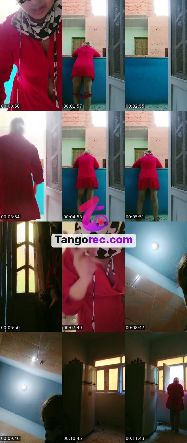 @unknown-hippo-18476 Tango live from 2026-09-15