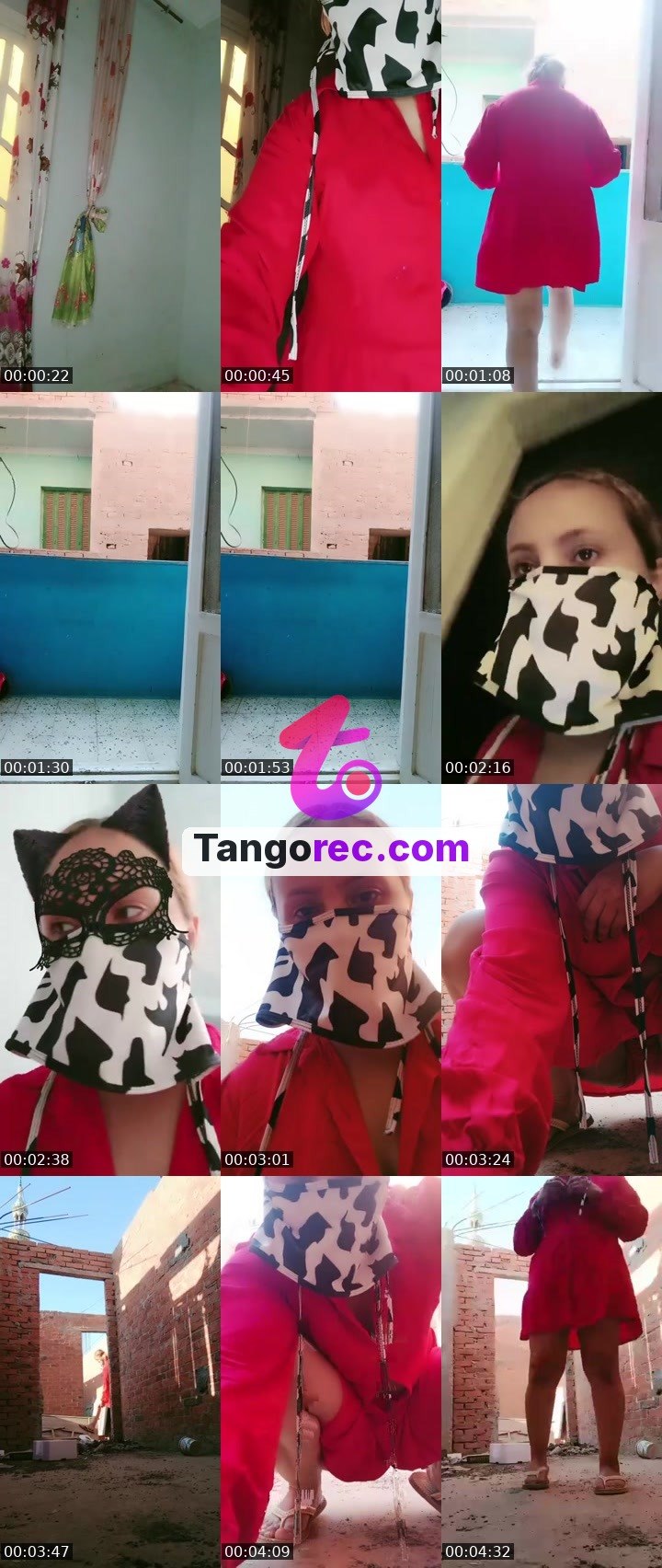 @unknown-hippo-18476 Tango live from 2026-09-15