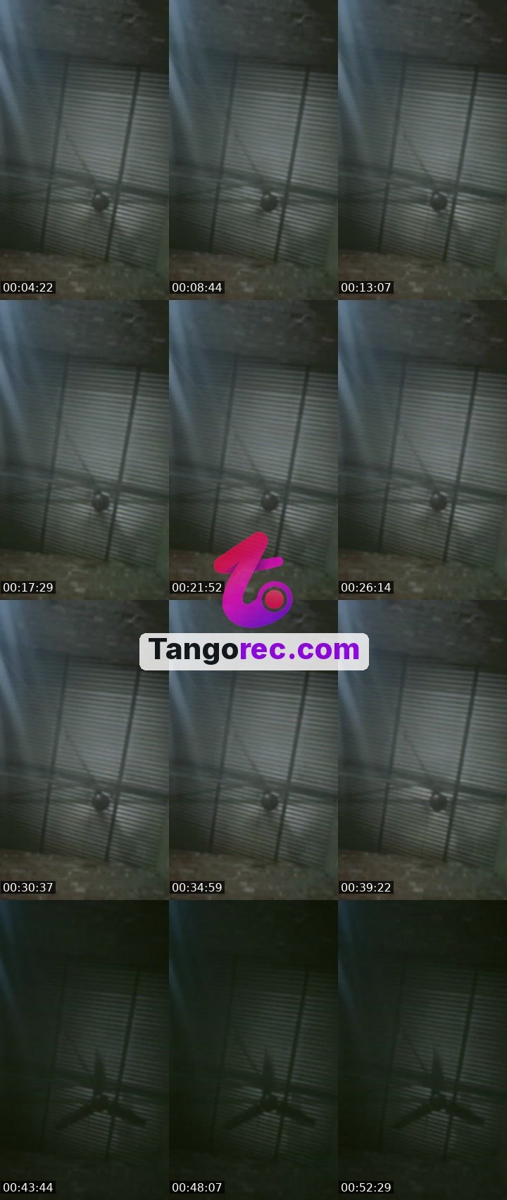 @itshmukti Tango live from 2026-09-15