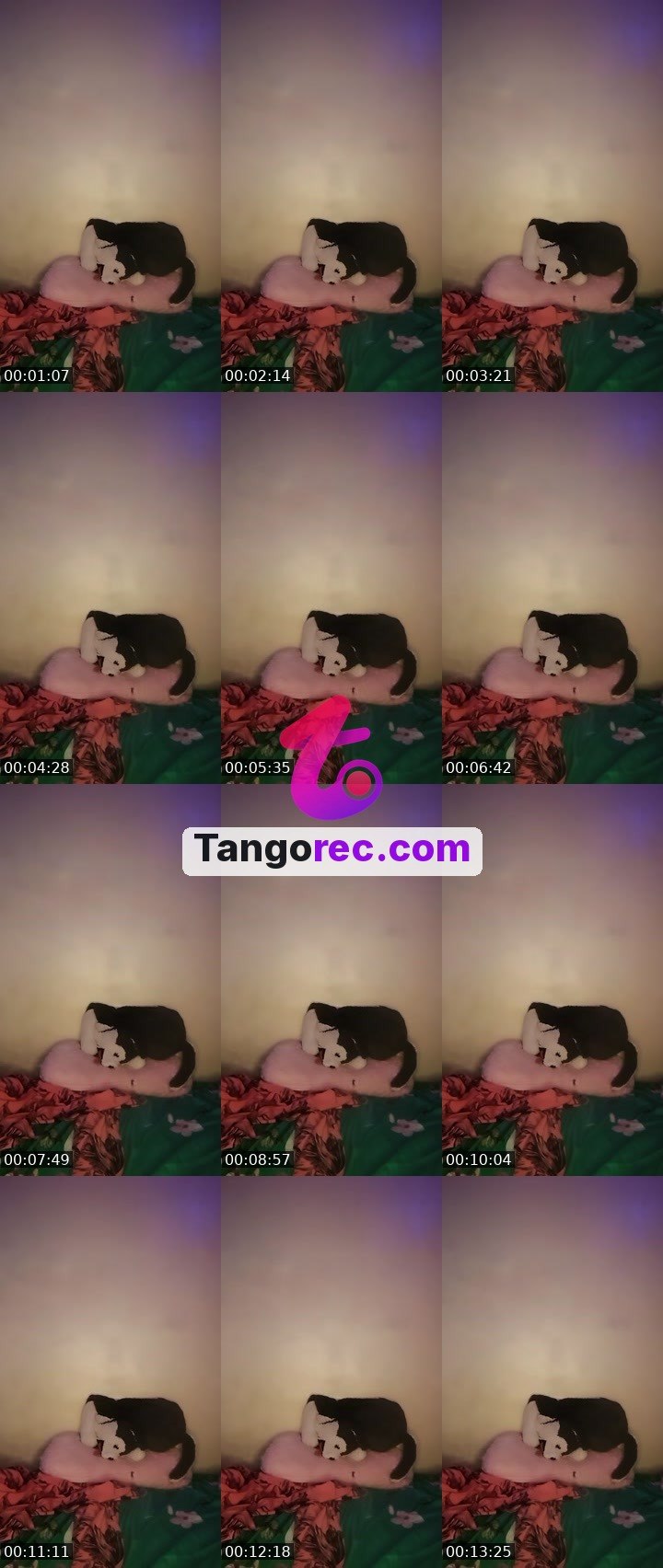 @jlove680 Tango live from 2026-09-16