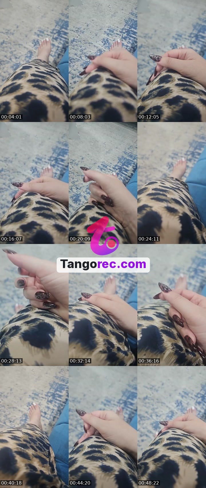 @nicebadger-25713 Tango LIVE