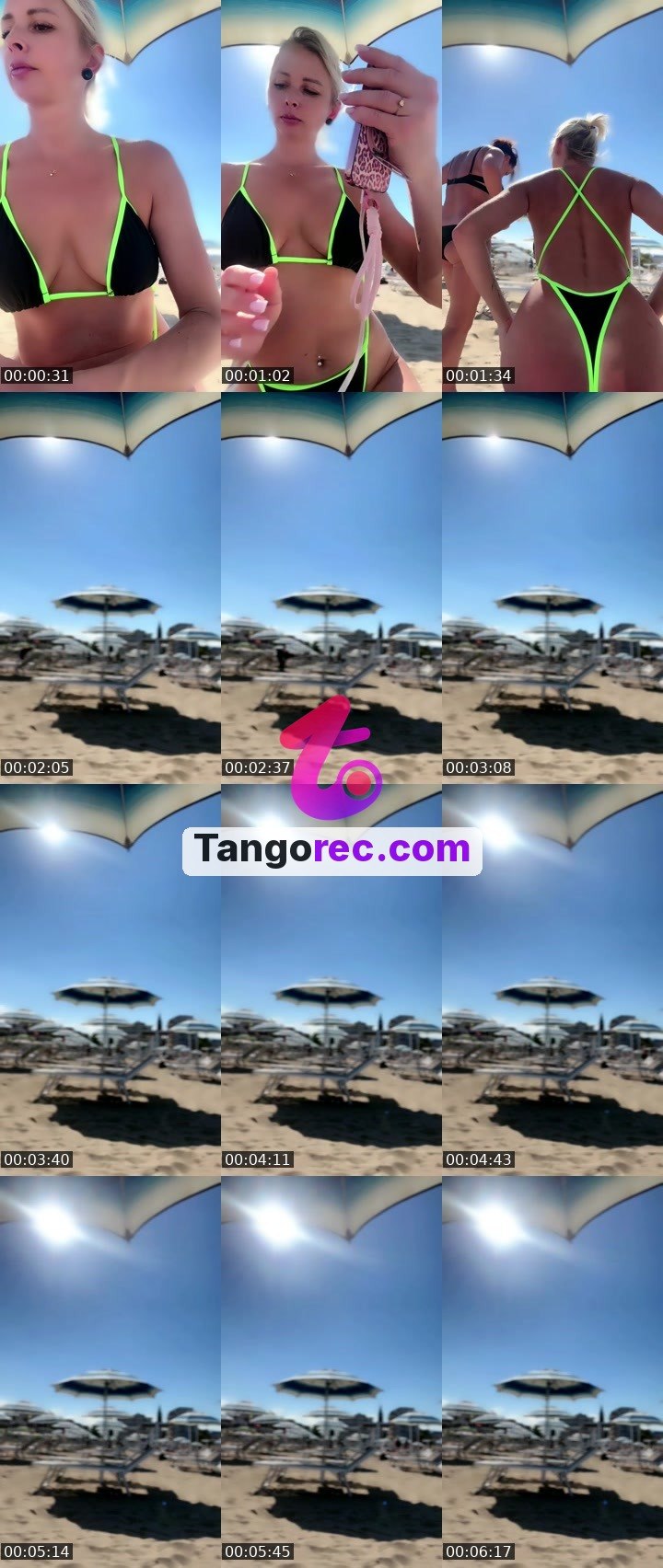 @yourlionesss Tango live from 2026-09-16