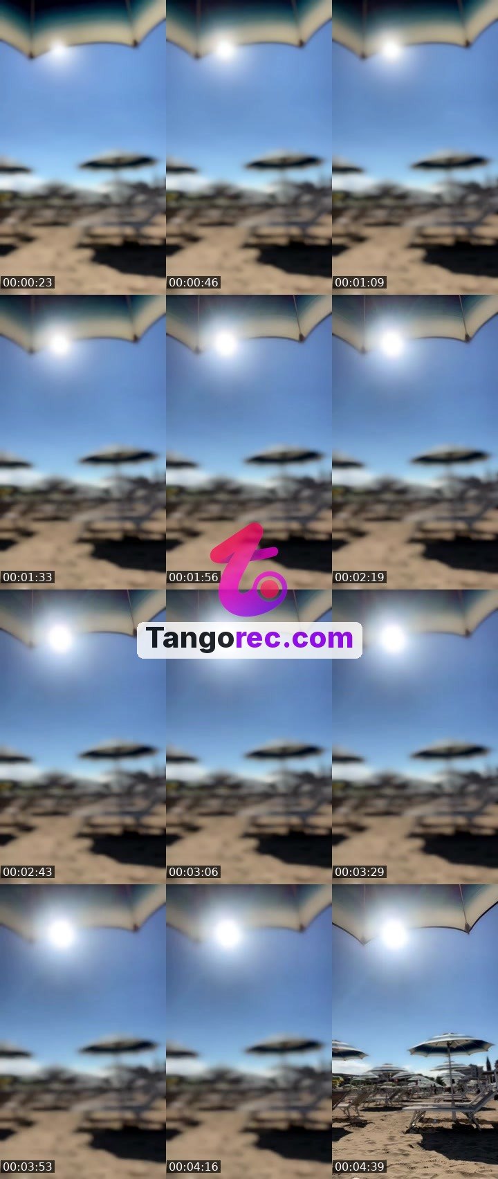 @helen1205 Tango live from 2026-09-16