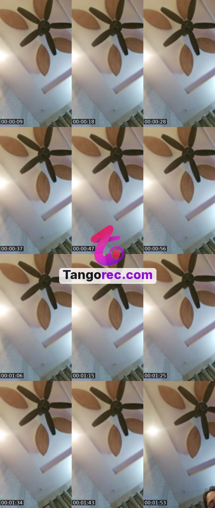 @mia8801 Tango live from 2026-09-16