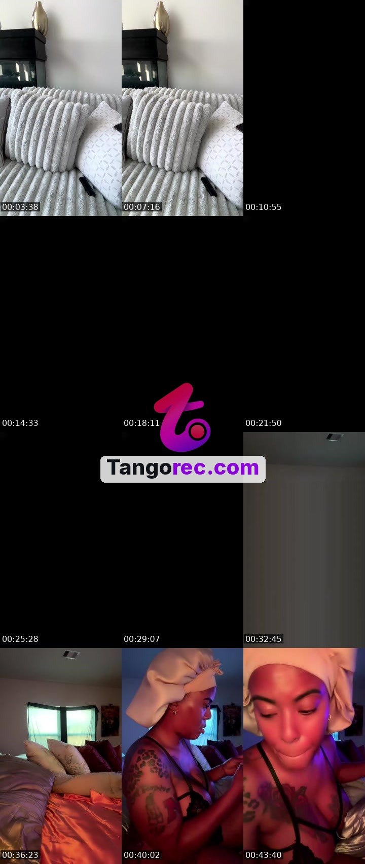 @itsvelvettah Tango live from 2026-09-16