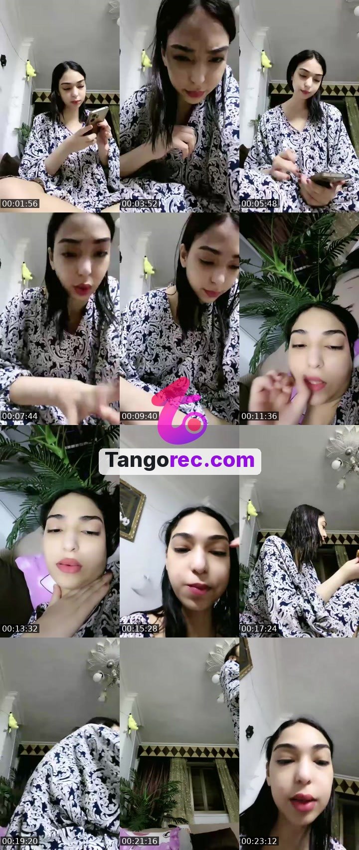 @fairozy4 Tango live from 2026-09-17