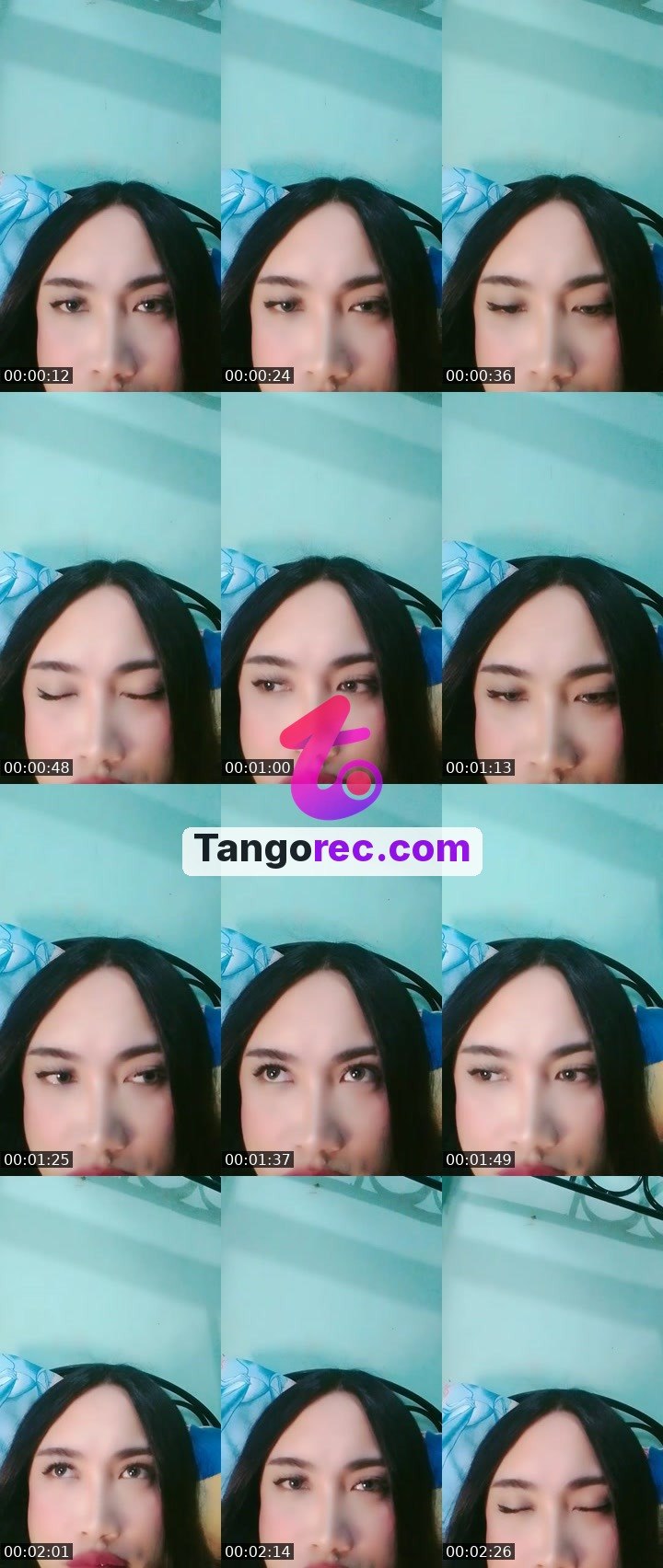 @stoneboar-544170 Tango live from 2026-09-17