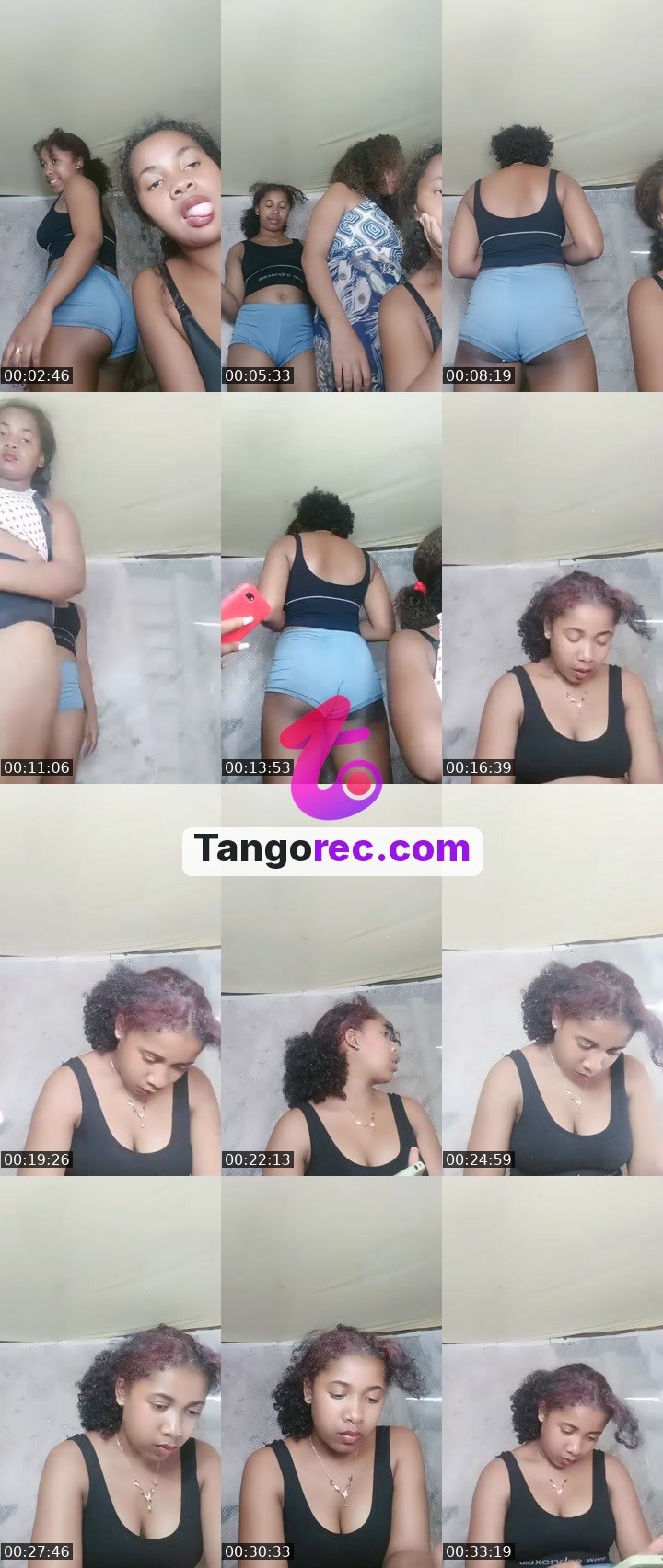 @flint-mastiff-262993 Tango live from 2026-09-17