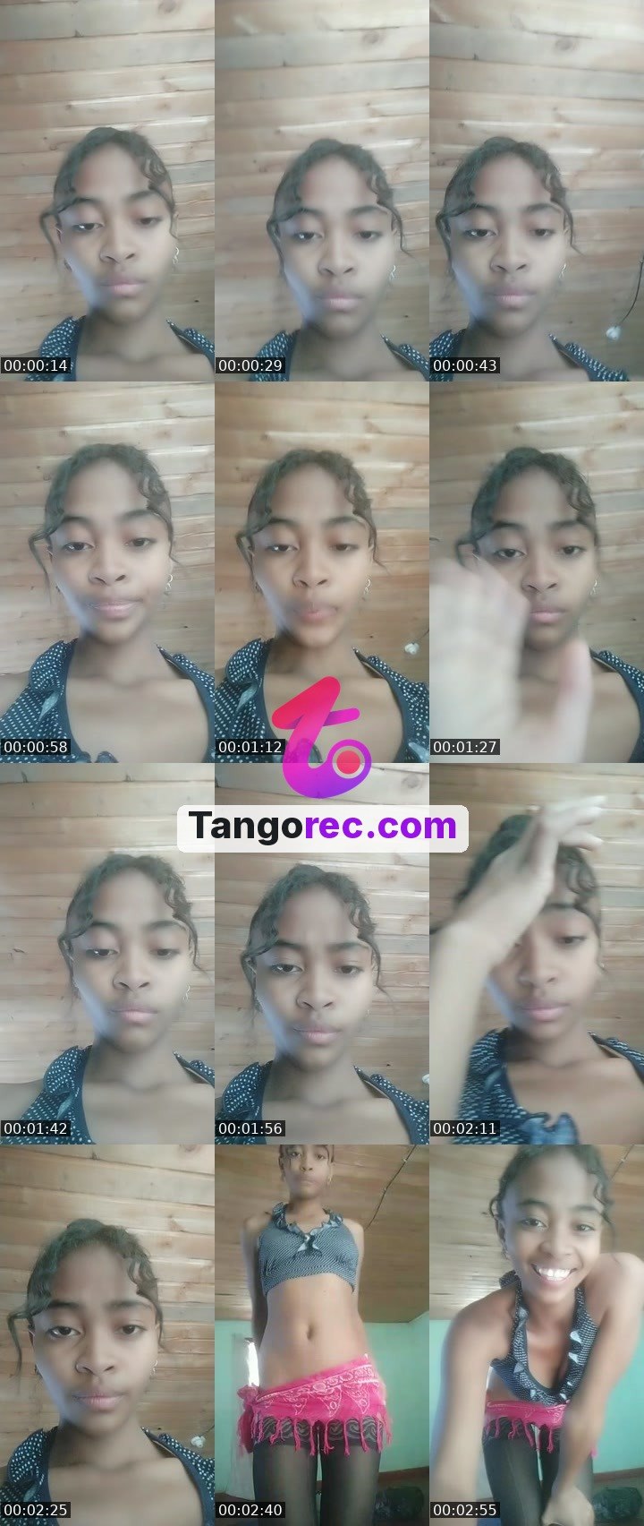 @shogundog-179634 Tango live from 2026-09-17