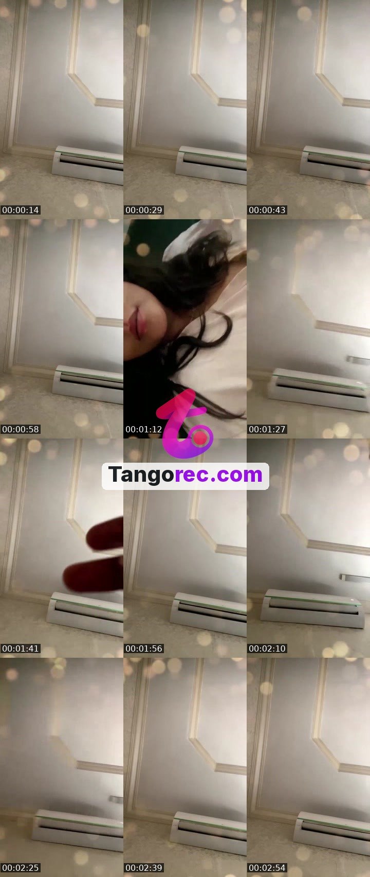 @ironbull-305617 Tango live from 2026-09-17