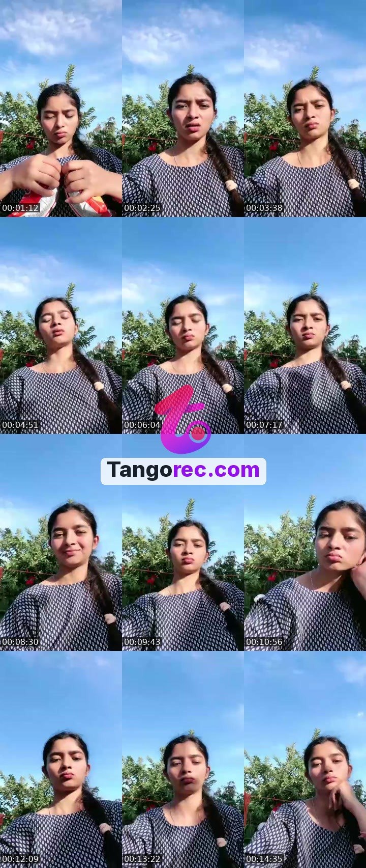 @wardenbison-380516 Tango live from 2026-09-17