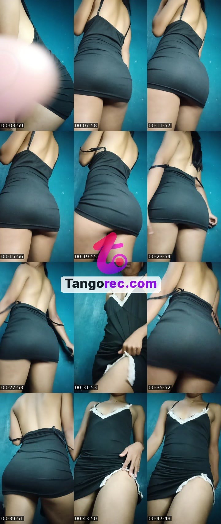 @shogundog-129530 Tango live from 2026-09-17