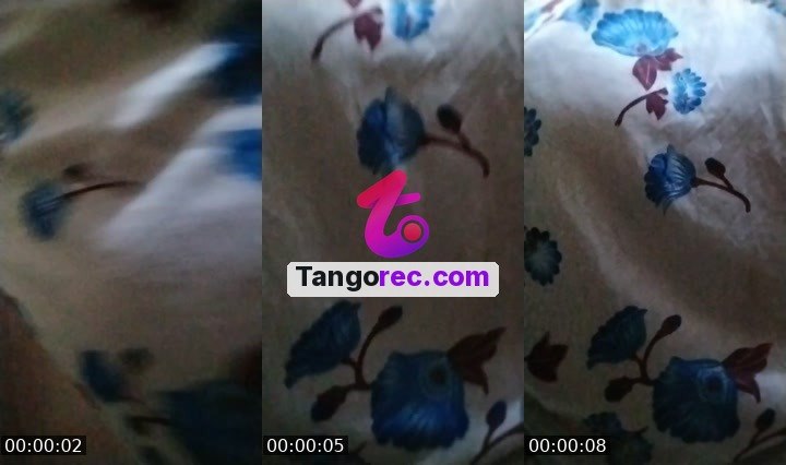 @chill-wolf-844085 Tango live from 2026-09-17