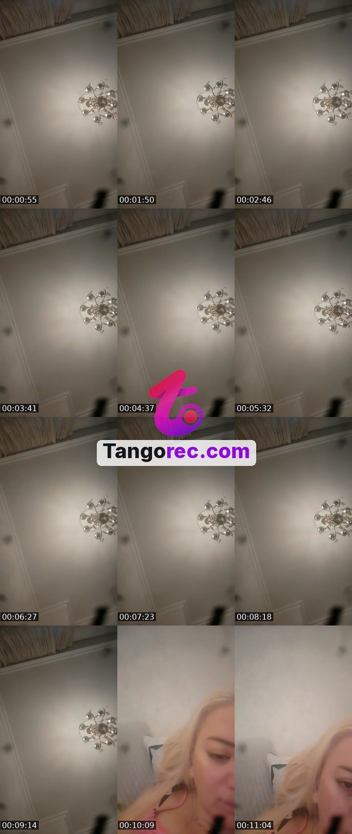 @talon-jackal-265820 Tango live from 2026-09-17