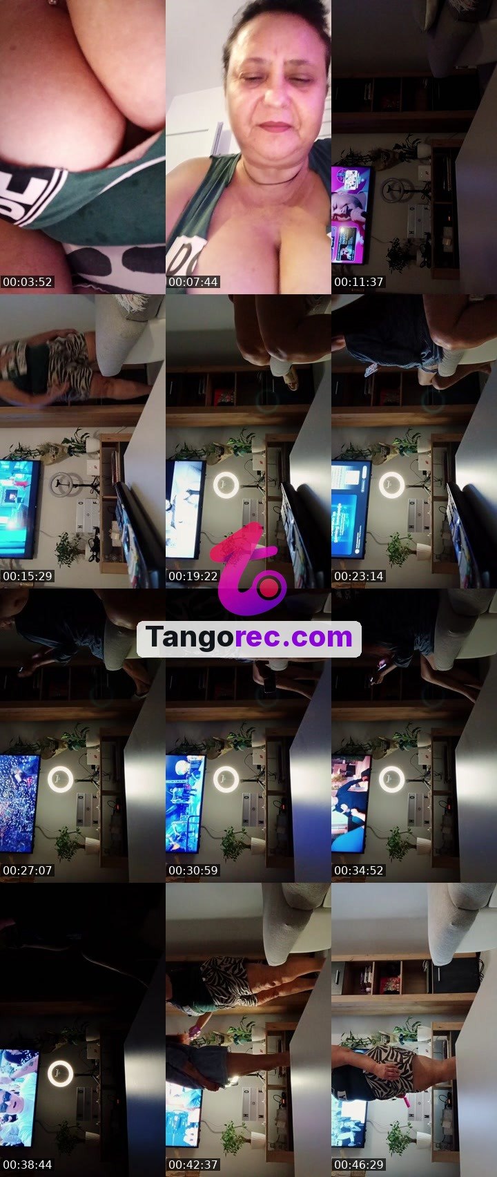 @unknown-moose-24574 Tango live from 2026-09-17
