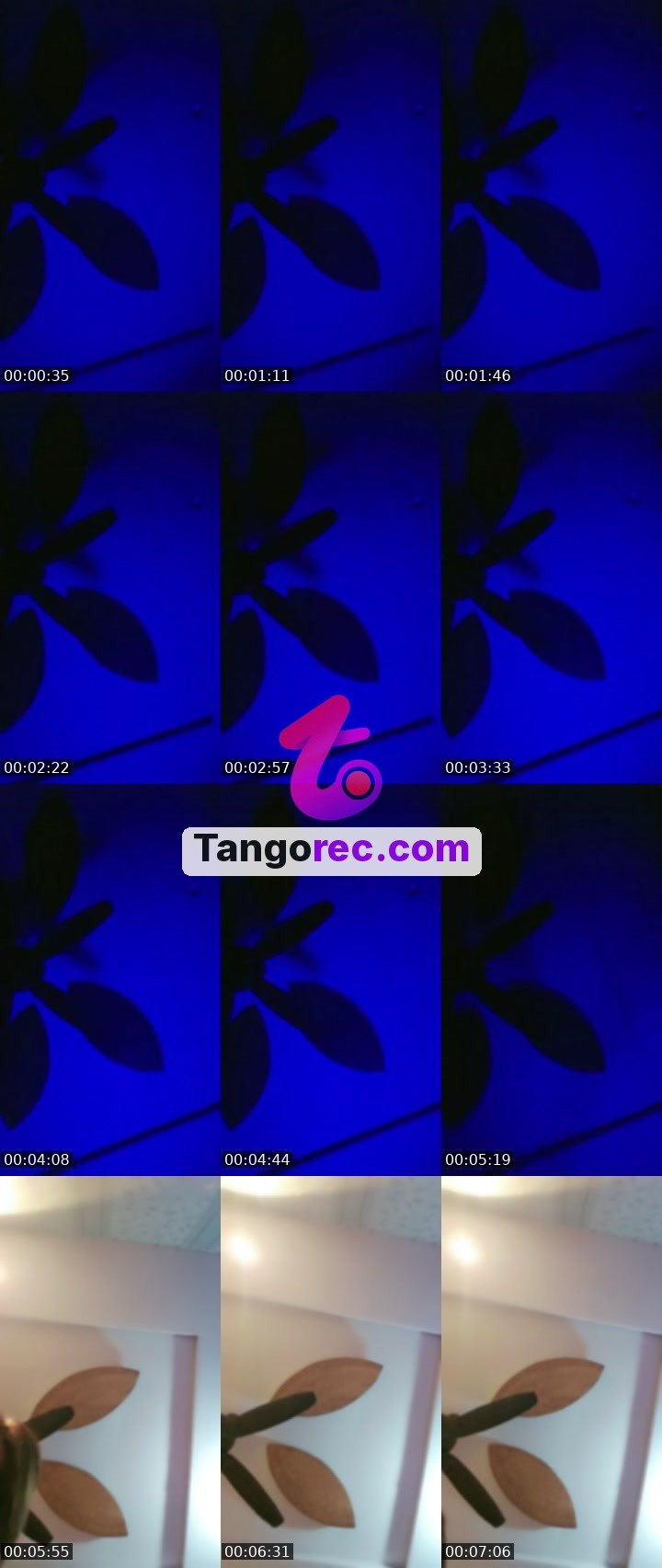 @bano420 Tango live from 2026-09-17