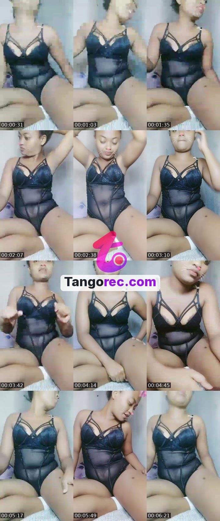 @pleasantrhino-112227 Tango live from 2026-09-17