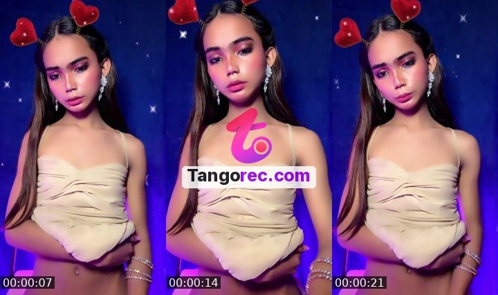@steelstallion-603493 Tango live from 2026-09-17