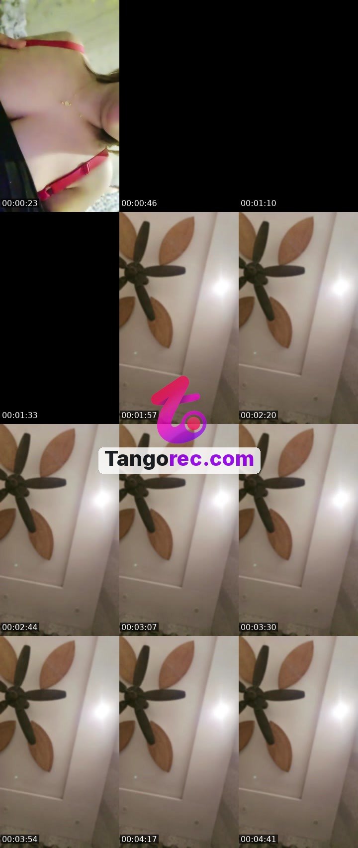 @mia8801 Tango live from 2026-09-17